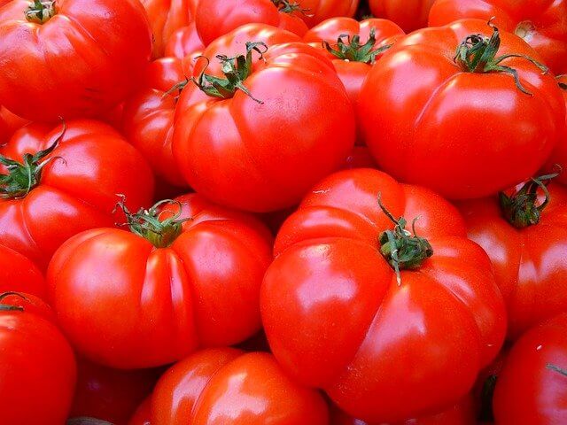 evde domates nasıl yetştirilir